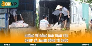 Đối tác - OKVIP - hình ảnh - zhvykyssw.top