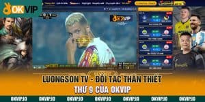 Đối tác - OKVIP - hình ảnh - zhvykyssw.top