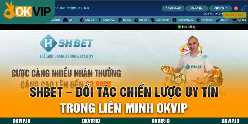 Hệ Sinh Thái OKVIP – Top 7 Đối Tác Chiến Lược Uy Tín - hình ảnh - zhvykyssw.top Hệ Sinh Thái OKVIP – Top 7 Đối Tác Chiến Lược Uy Tín - hình ảnh - zhvykyssw.top